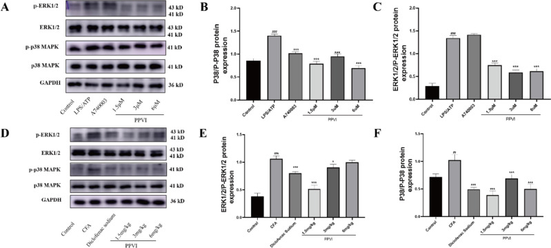 Fig. 13