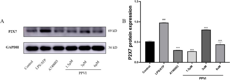 Fig. 12