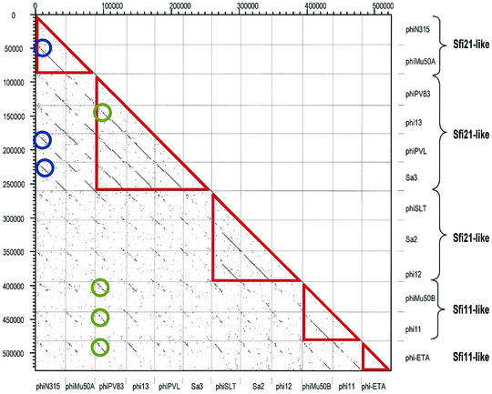 FIG. 8.