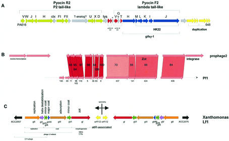 FIG. 11.