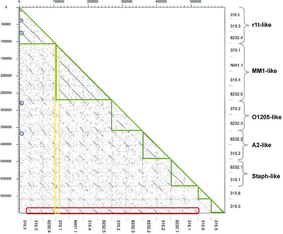 FIG. 2.