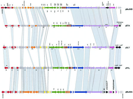 FIG.7.