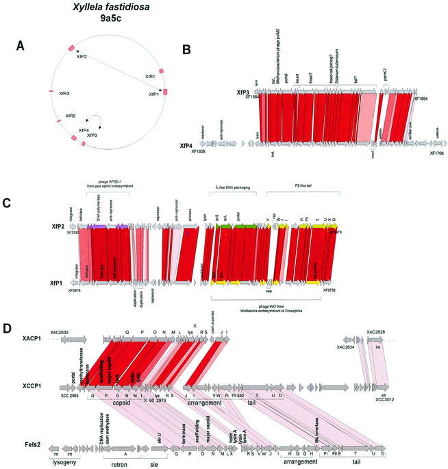 FIG. 13.