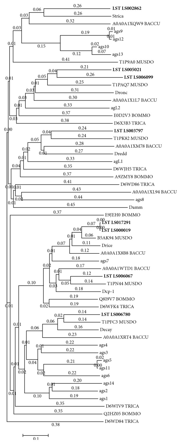 Figure 5