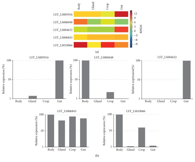 Figure 6