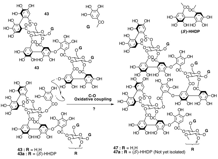 Figure 21