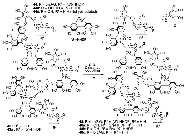 Figure 22