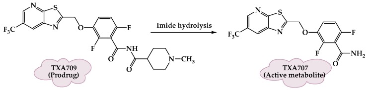 Figure 8