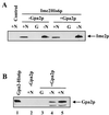 FIG. 6