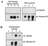 FIG. 8