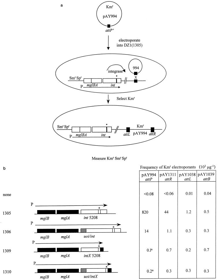 FIG. 3