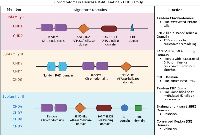 Figure 1