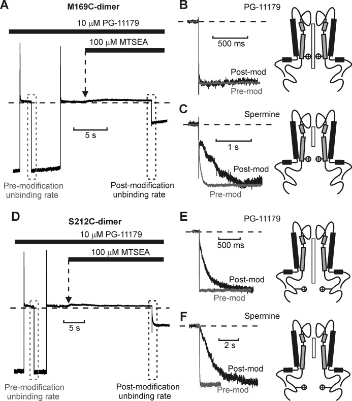 FIGURE 9.