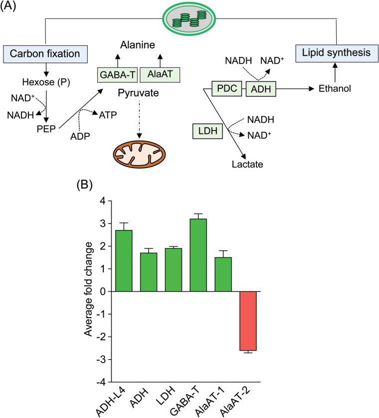 Fig. 3.