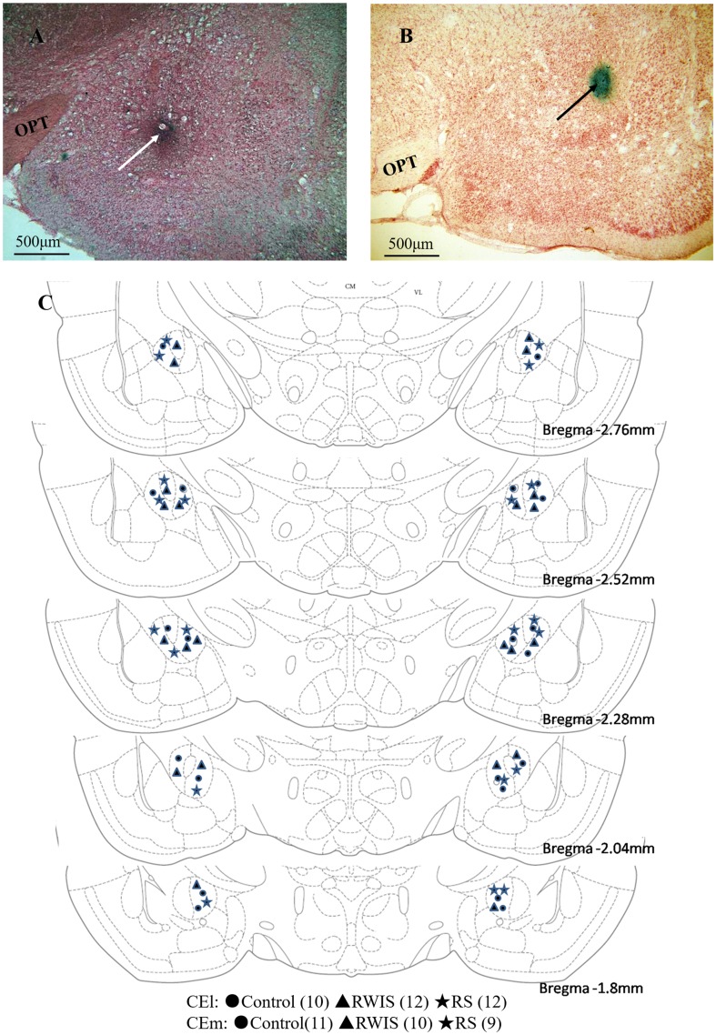 Fig. 1