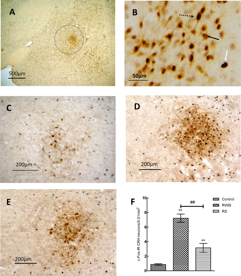 Fig. 4