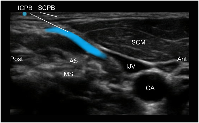 Figure 6