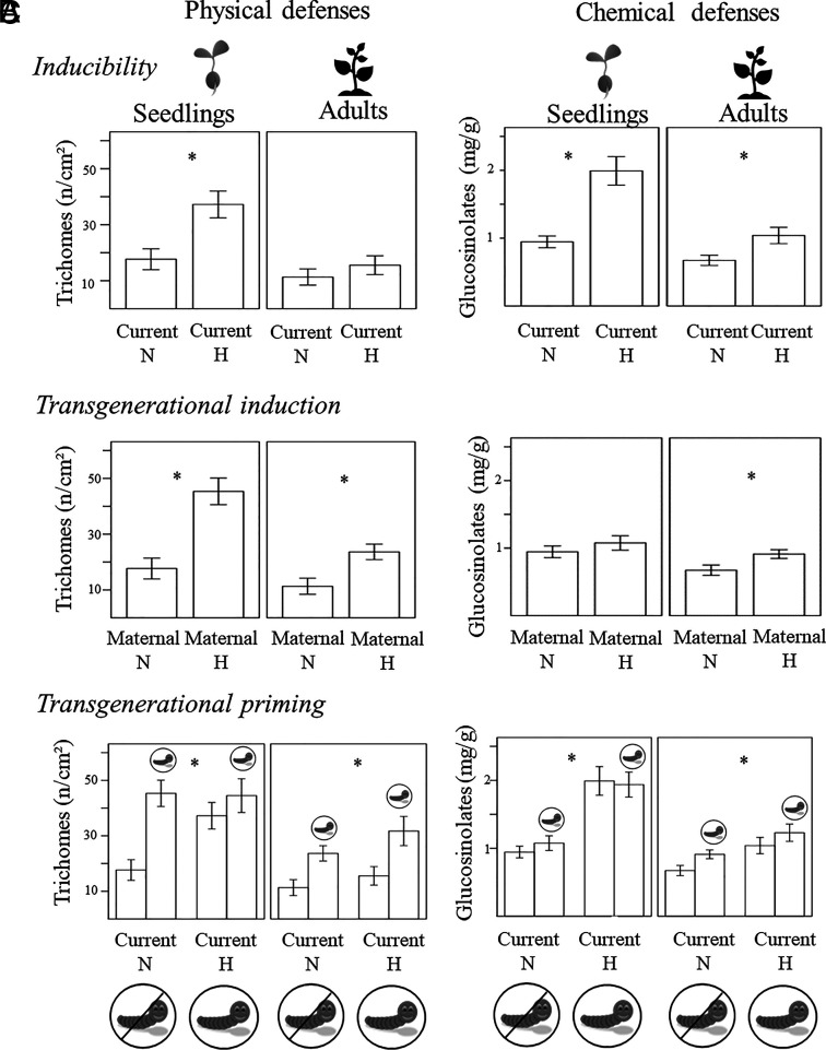 graphic file with name pnas.2311866120fig03.jpg