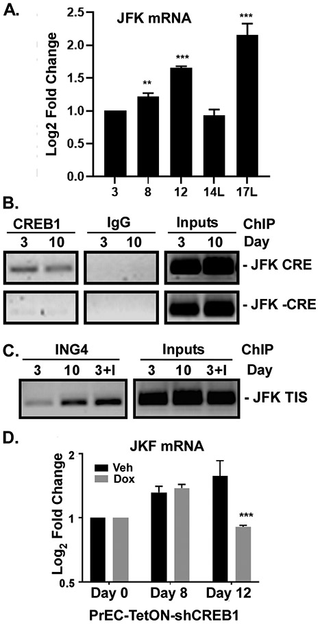 Figure 4: