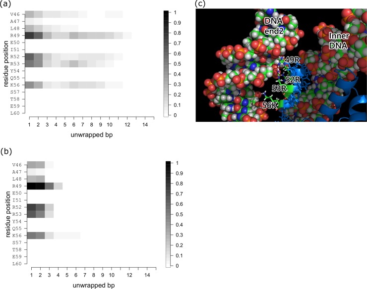 Fig 4