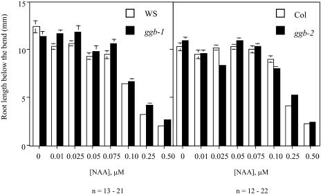 Figure 10.