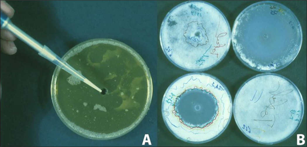 Fig. 7