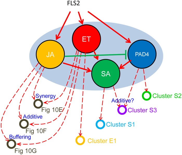 Fig 7