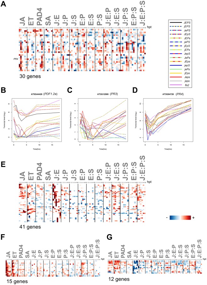 Fig 10