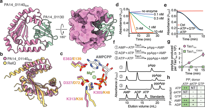 Figure 2 |