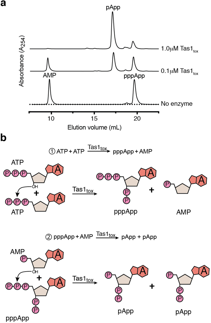 Extended Data Figure 7 |