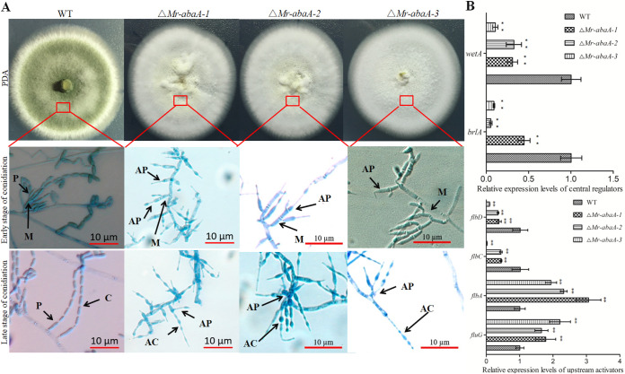 FIG 3