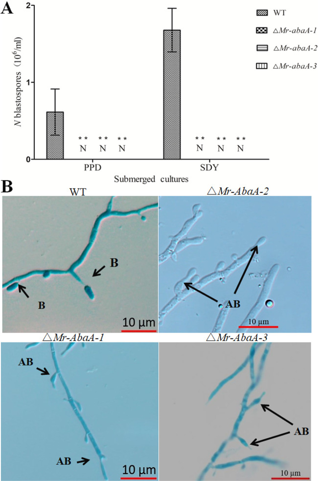 FIG 4