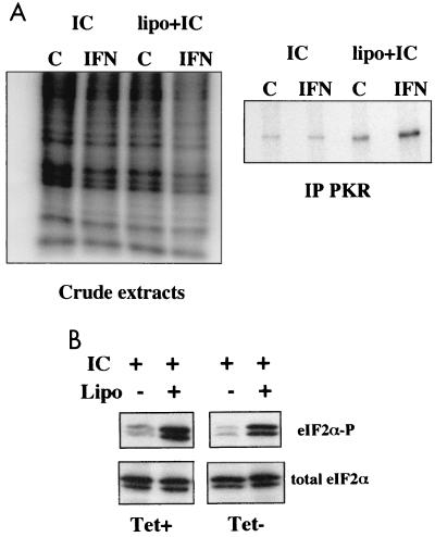 FIG. 5