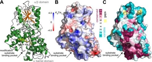 FIGURE 2.