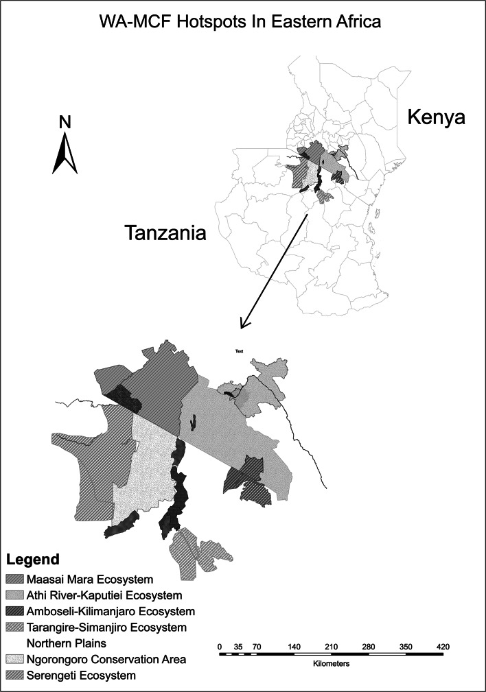 Fig. 1