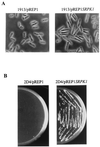 FIG. 7