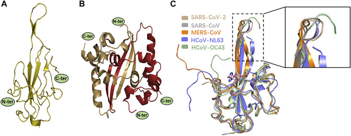 FIGURE 3