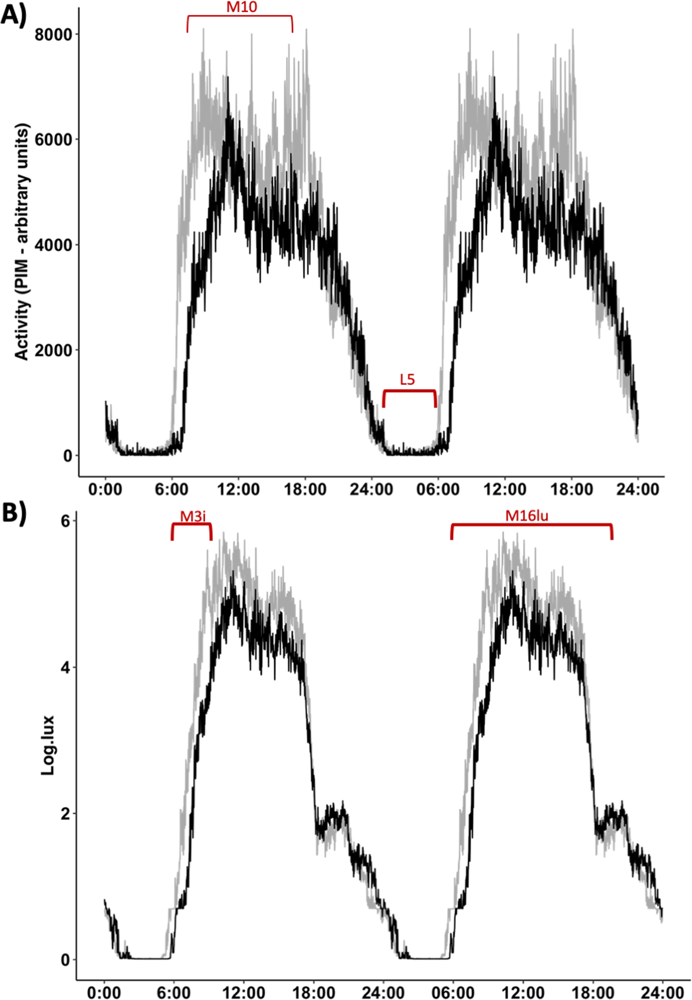 Figure 5: