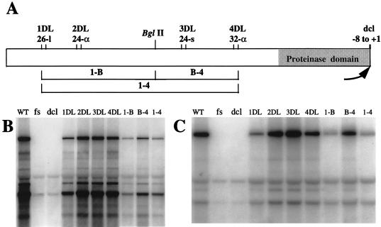 FIG. 3