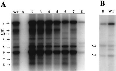 FIG. 5
