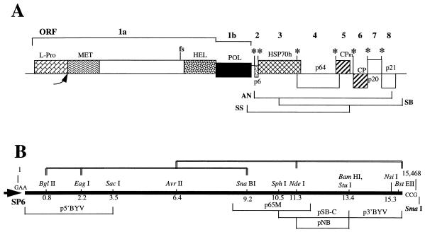 FIG. 1