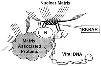 FIG. 6