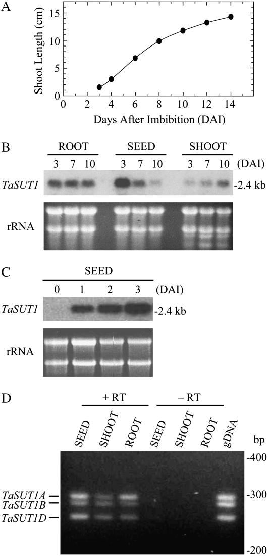 Figure 2.