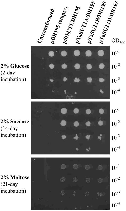 Figure 3.