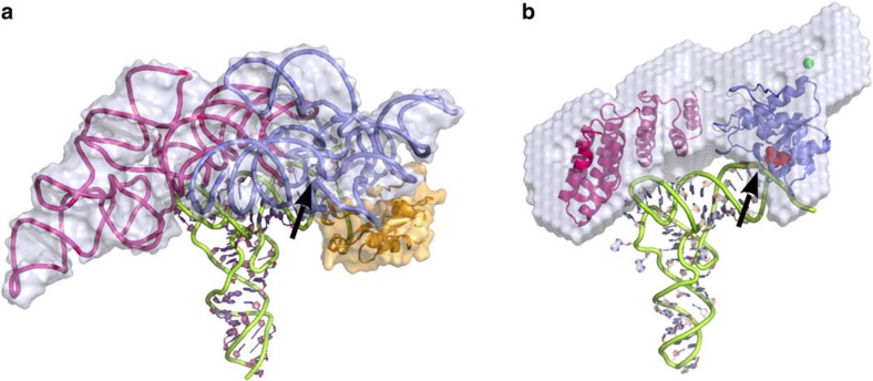 Figure 5