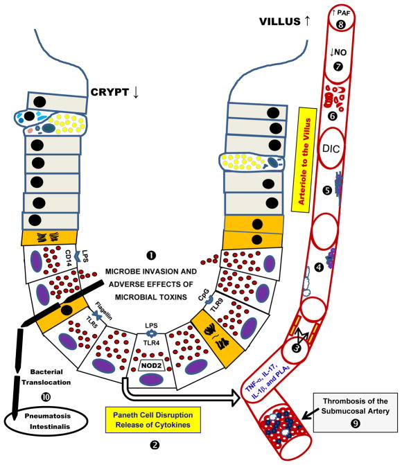 Fig 3