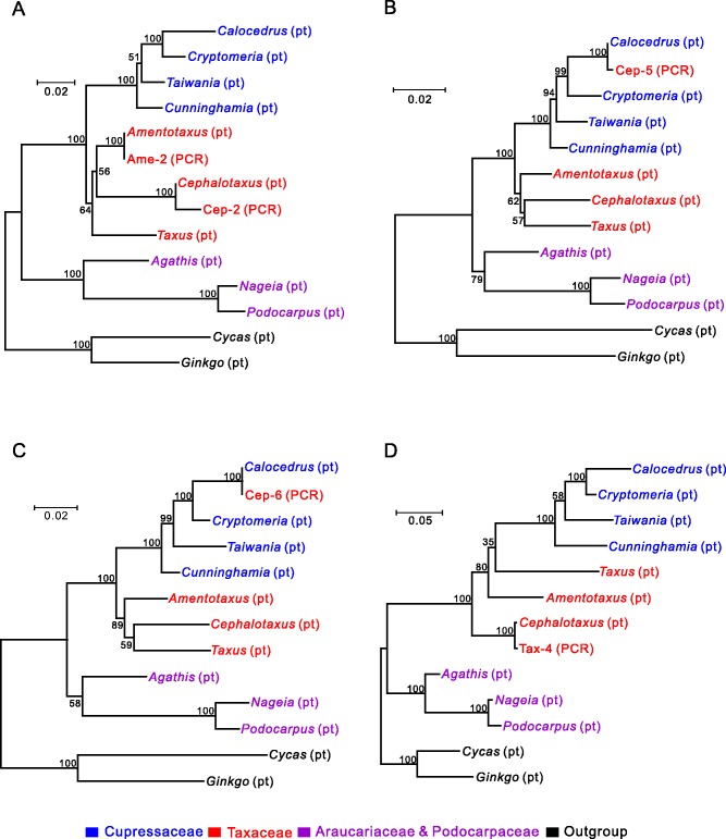 Fig. 4.—