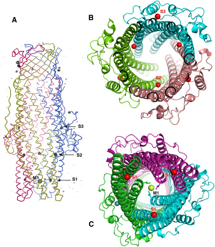 Fig 2