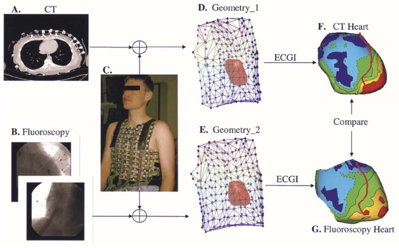 Fig. 7