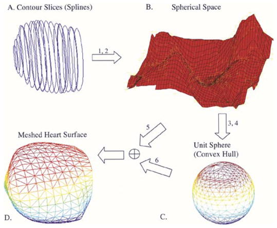 Fig. 6